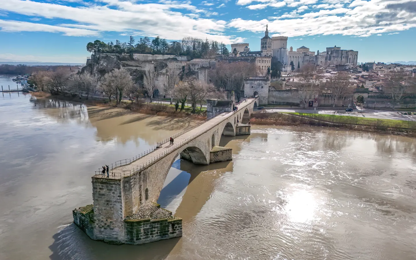 Le pont Saint-Bénézet et Avignon